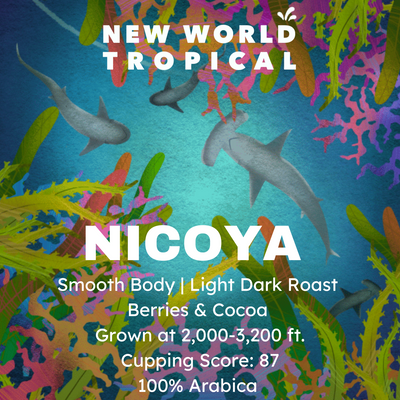 Nicoya Single Origin Specialty Coffee