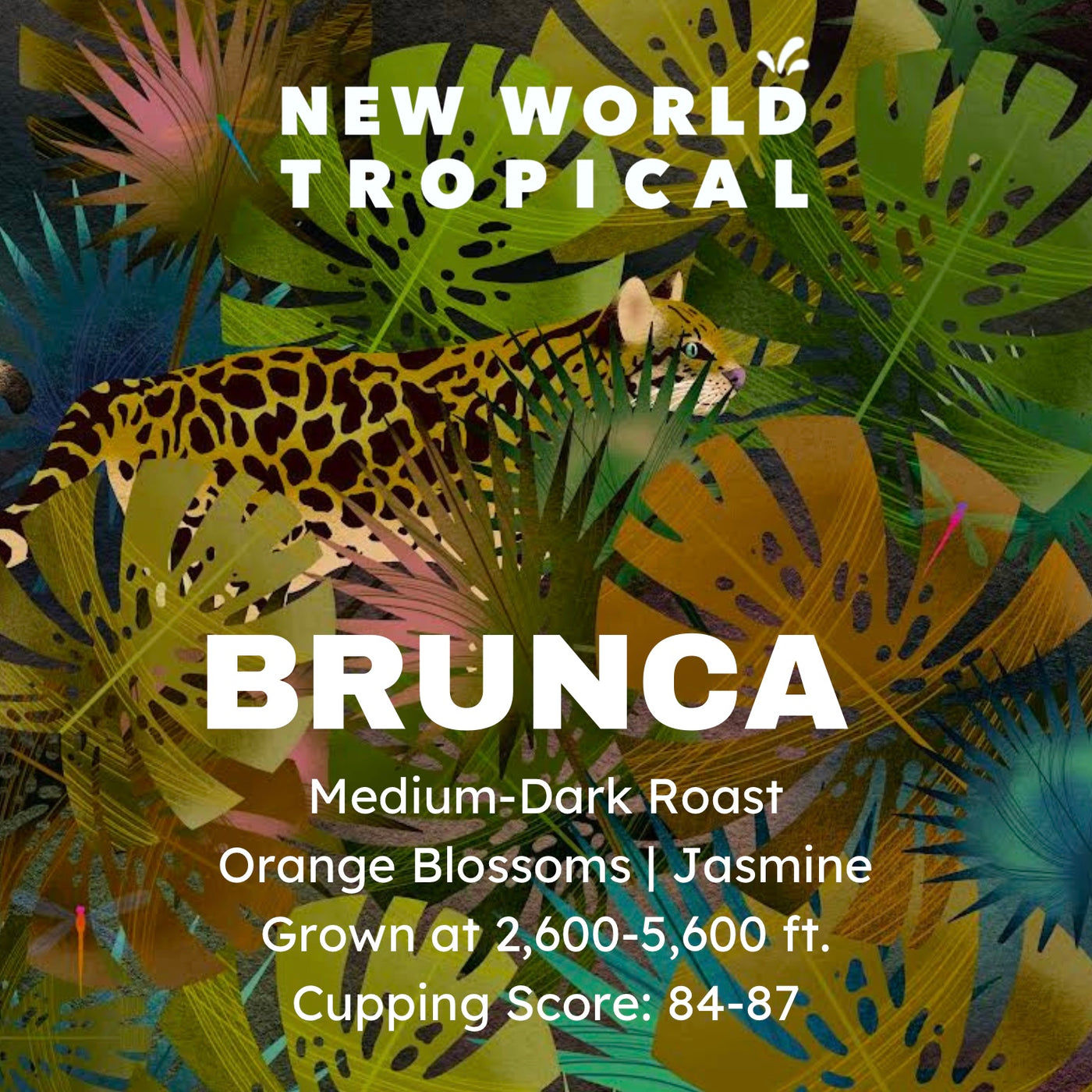 Brunca Single Origin Specialty Coffee